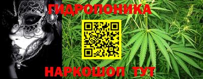 МДМА Новодвинск