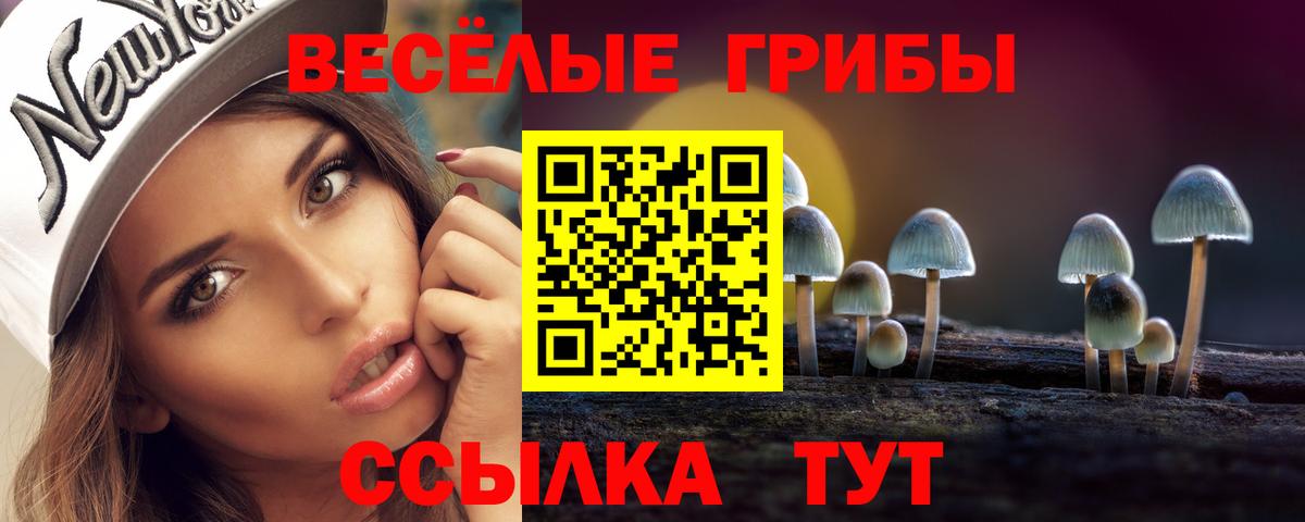 Галлюциногенные грибы MAGIC MUSHROOMS Самара